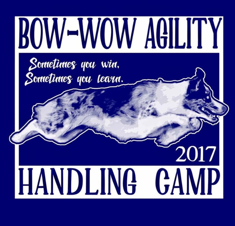 agilitycamp BowWow Video & Dog Training