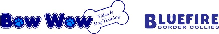 Bow-Wow Video & Dog Training